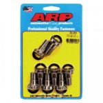 ARP Top Fuel L19 Schwungrad-Schraubensatz