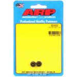 ARP 1 / 4-28 12pt Mutter Kit